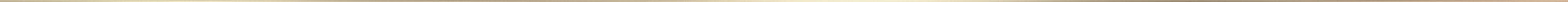 champagne-gold-banner-thin